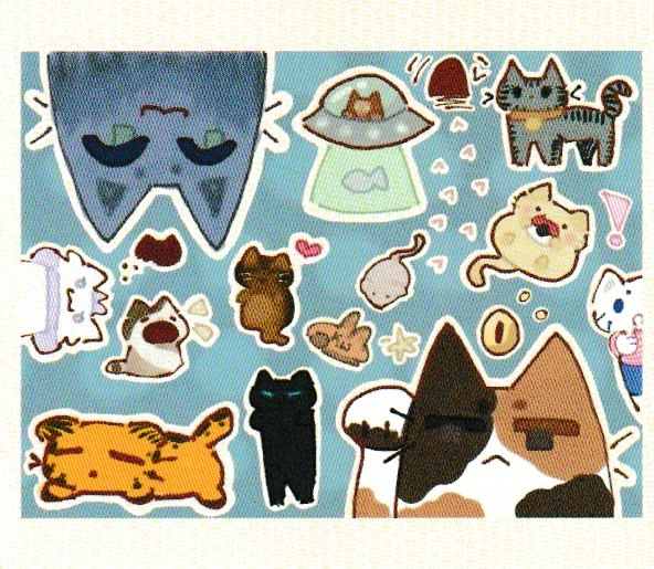 Some examples of customized labels from 2022: Cats!