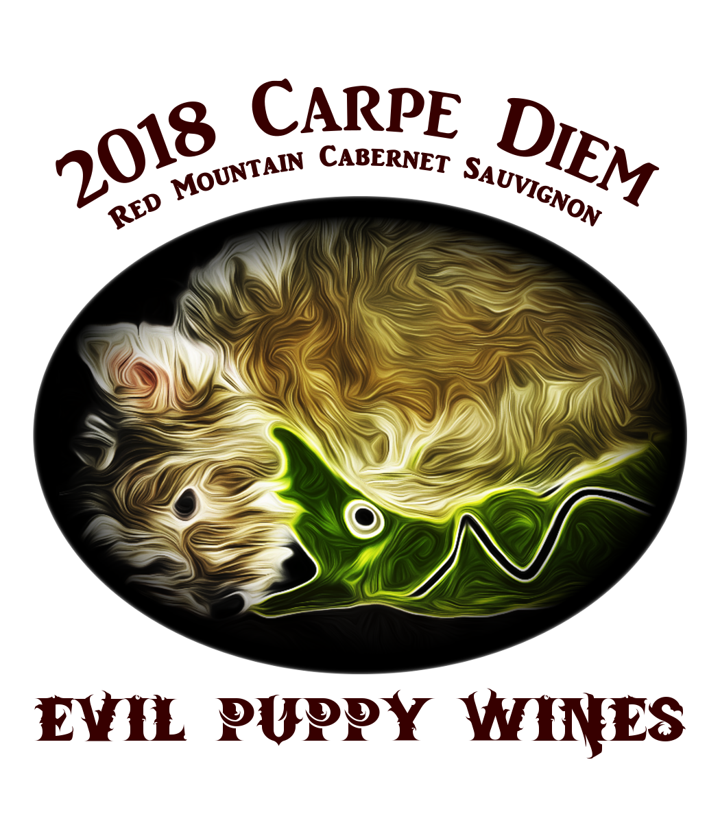 Celebrating the fur kid